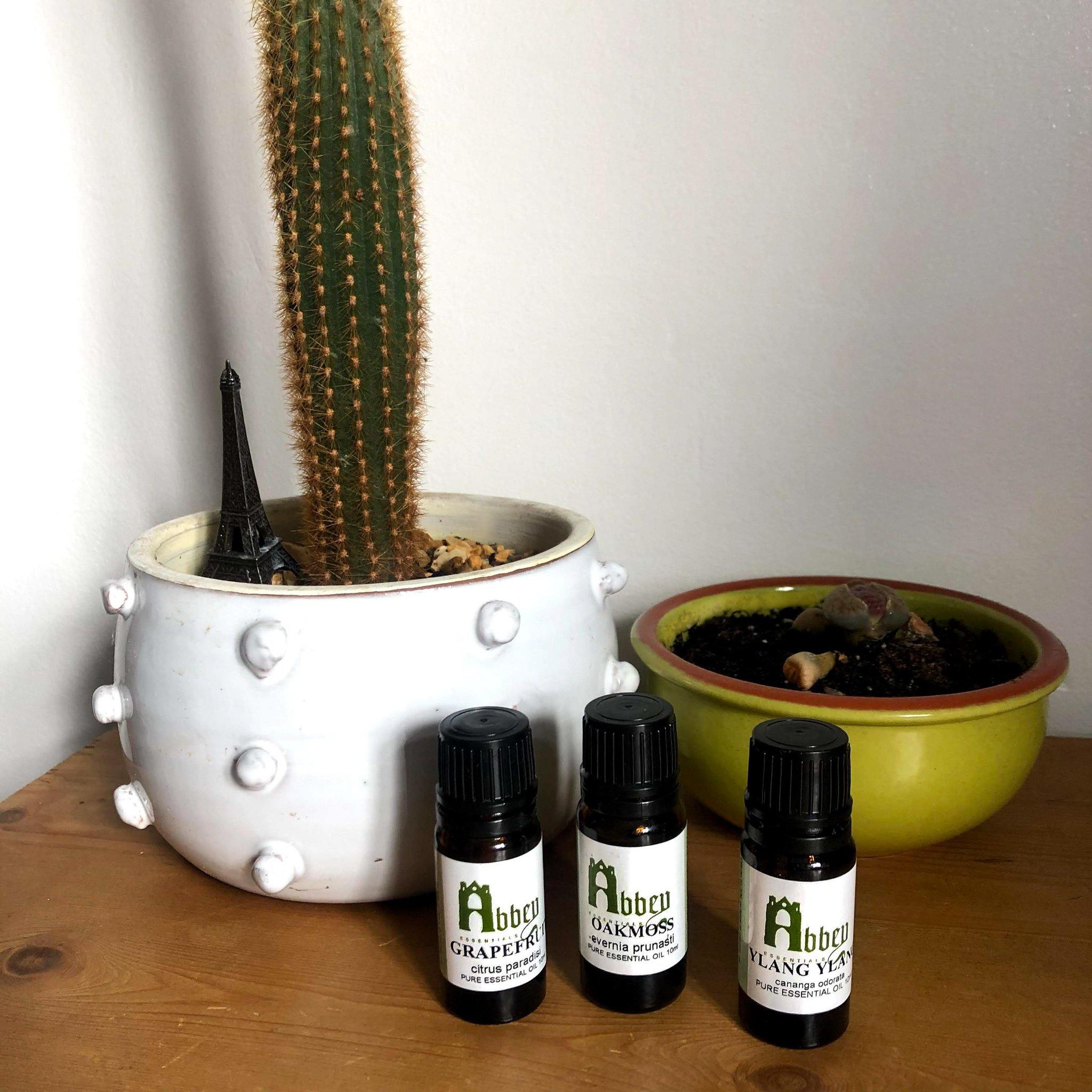 This is how to make your essential oils last longer - Abbey Essentials