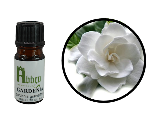 Gardenia Absolute Oil