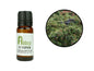 Juniperberry Essential Oil