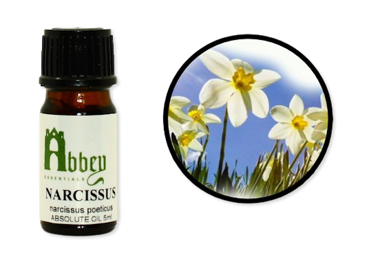 Narcissus Absolute Oil