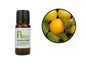 Bergamot Essential Oil