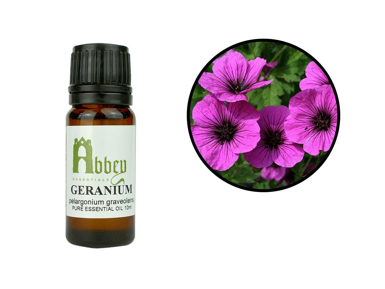 Geranium Essential Oil