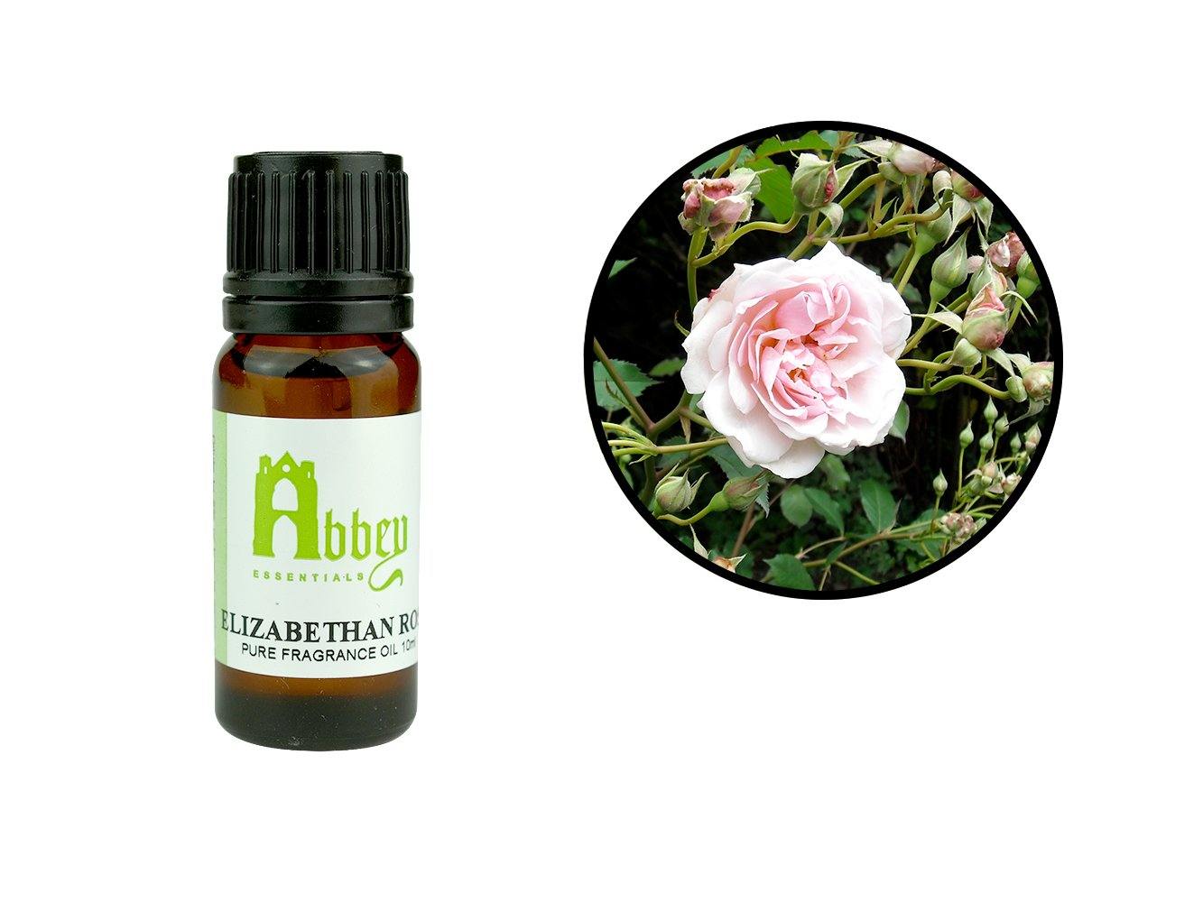 Elizabethan Rose Fragrance 10ml