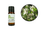 Tea Tree Essential Oil