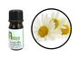 Matricaria Chamomile Absolute (Blue/German Chamomile) 5ml - Abbey Essentials