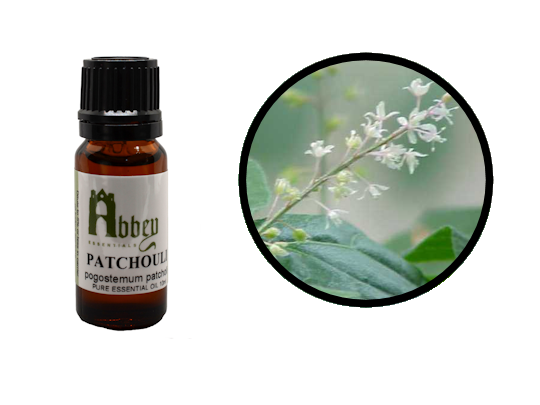 Patchouli Essential Oil - Abbey Essentials