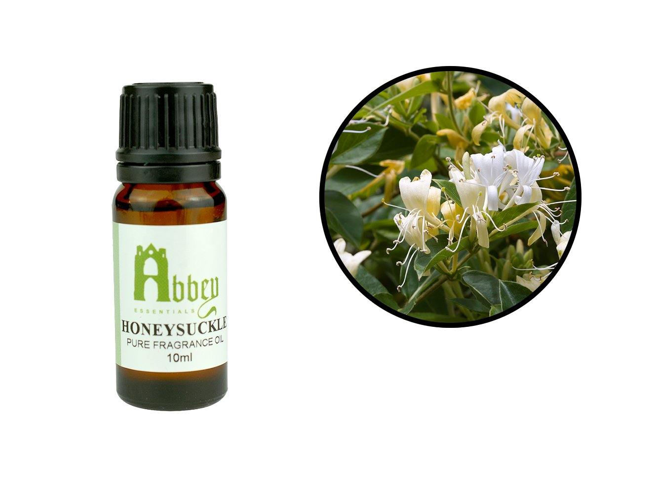 Honeysuckle Fragrance 10ml